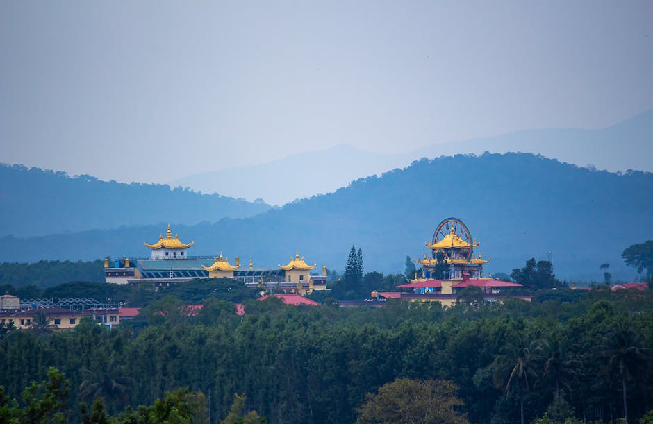 Protein Shake香港：選擇最佳蛋白飲品的實用指南